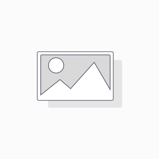 [B20-10044099] 5 INCH DISPLAY BKT